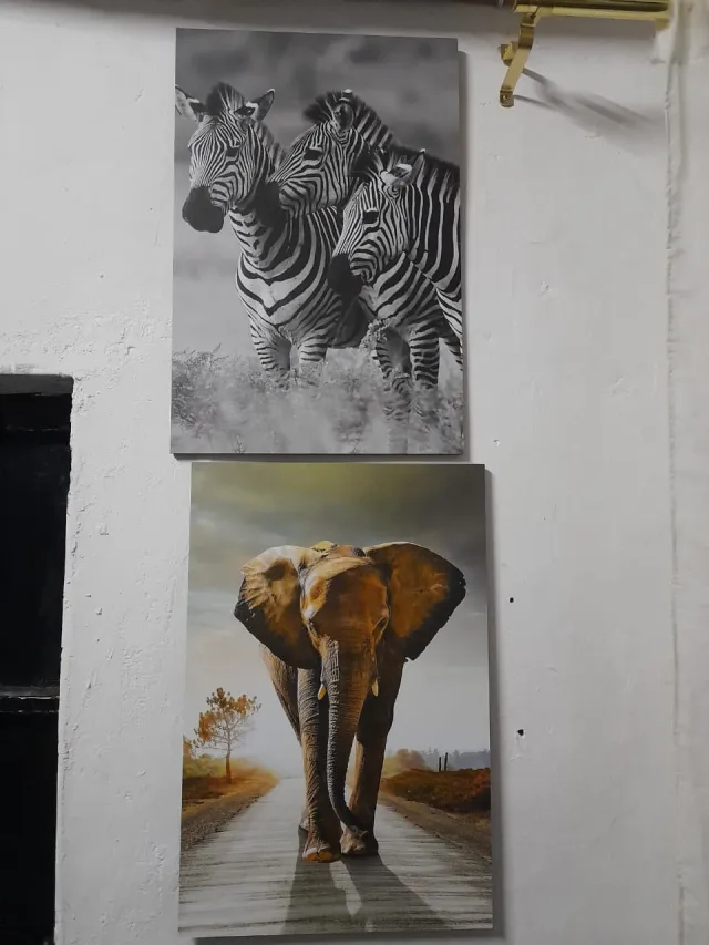Zebra Trio & Elephant Pair – Wildlife & Nature wall art mount by Kwanza Images